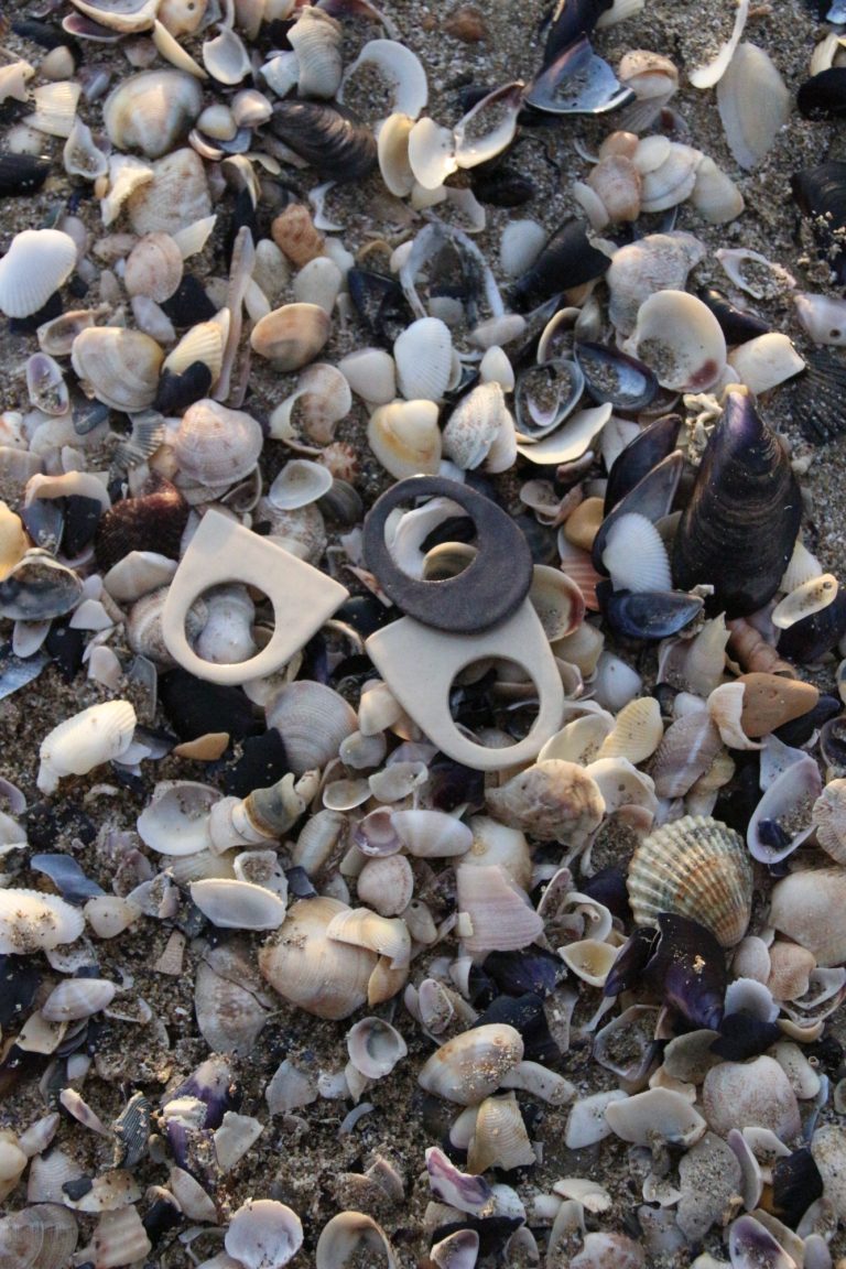 ceramic rings on shells and stones